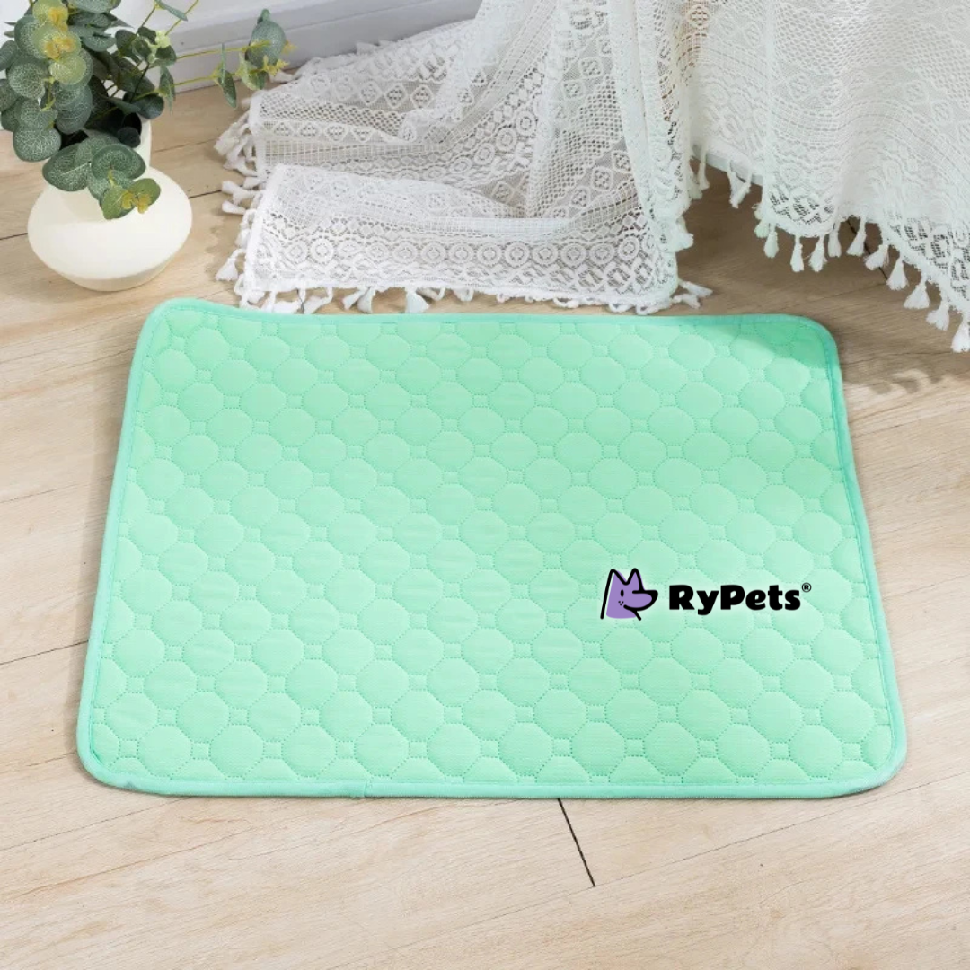 CleanPaws Washable Pet Pee Pad