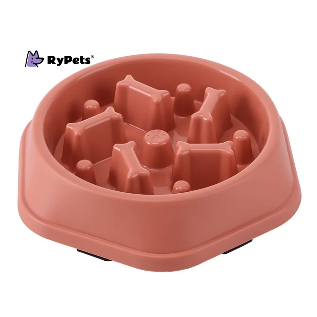 Pet Cat Dog Slow Food Bowl