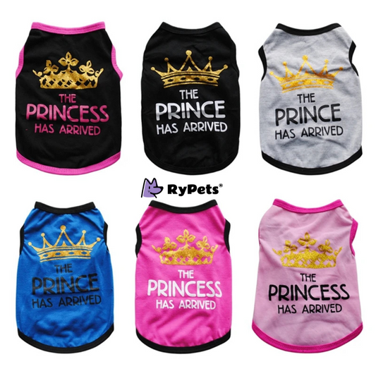 Summer Crown Princess Pet Tee