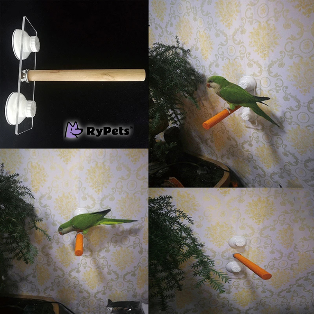 Parrot Perch Wooden Stand