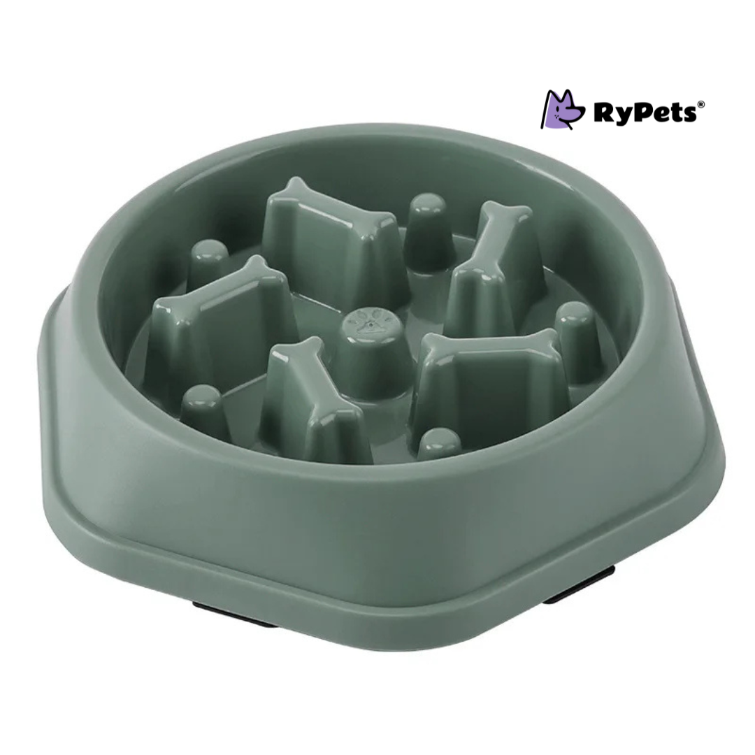 Pet Cat Dog Slow Food Bowl