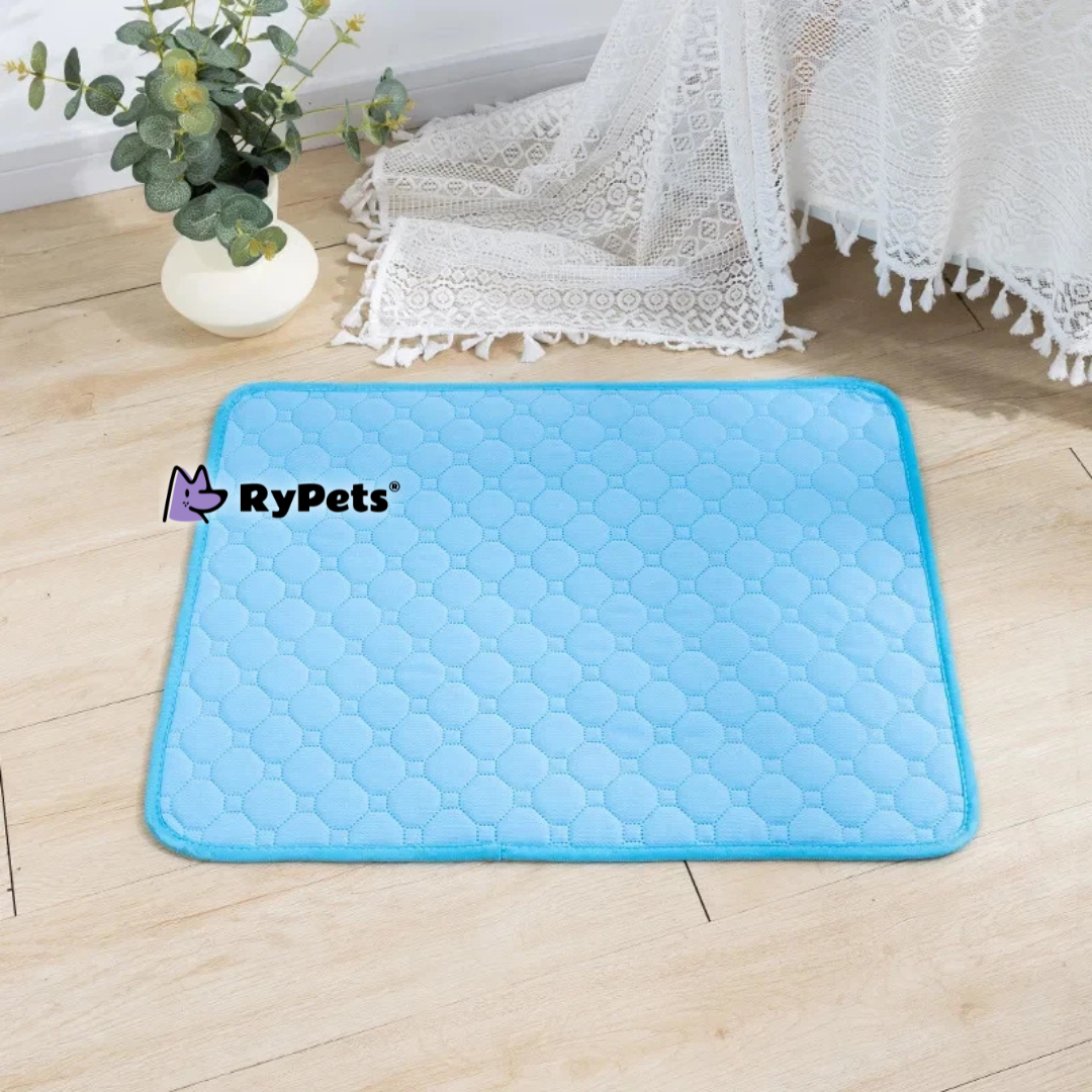 CleanPaws Washable Pet Pee Pad