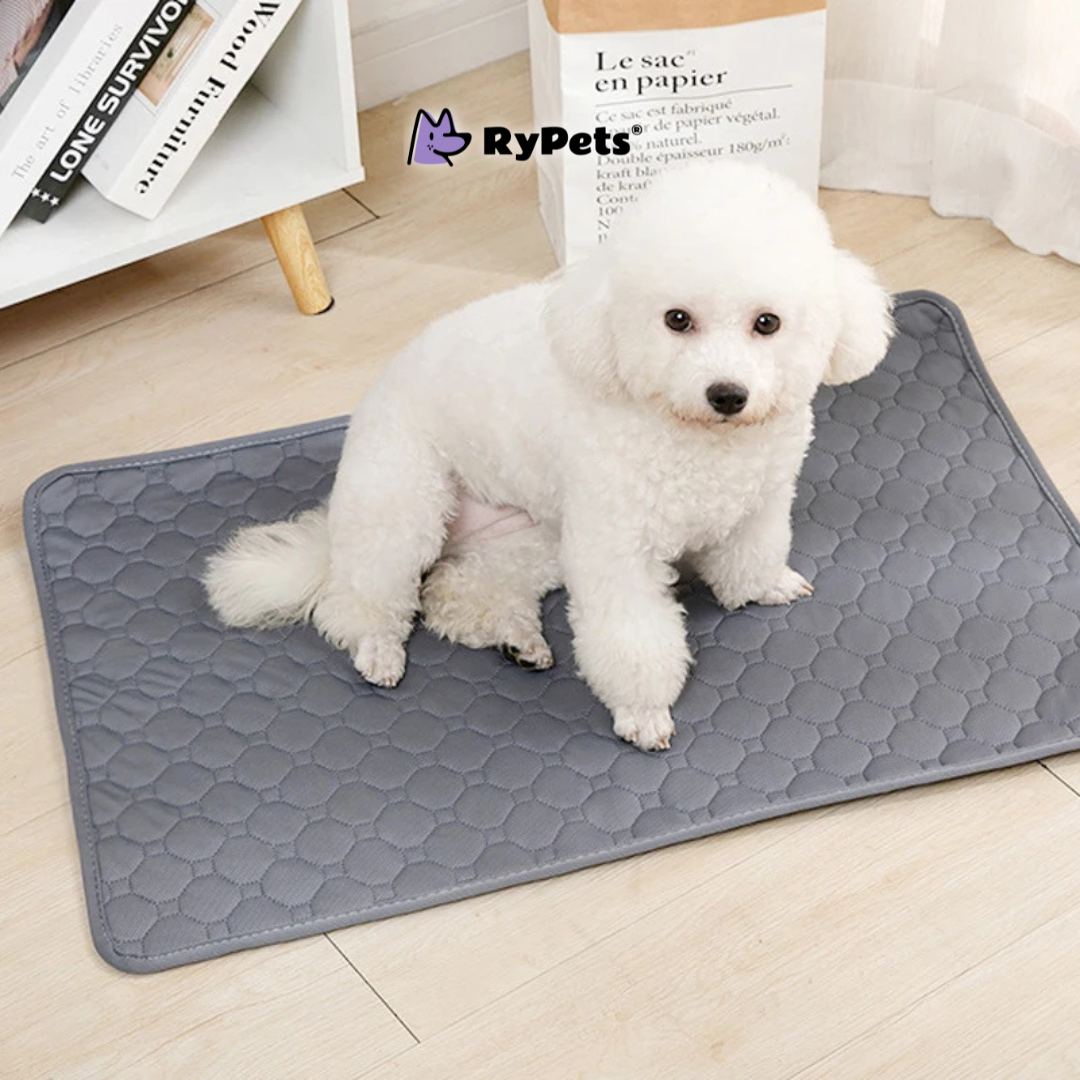 CleanPaws Washable Pet Pee Pad