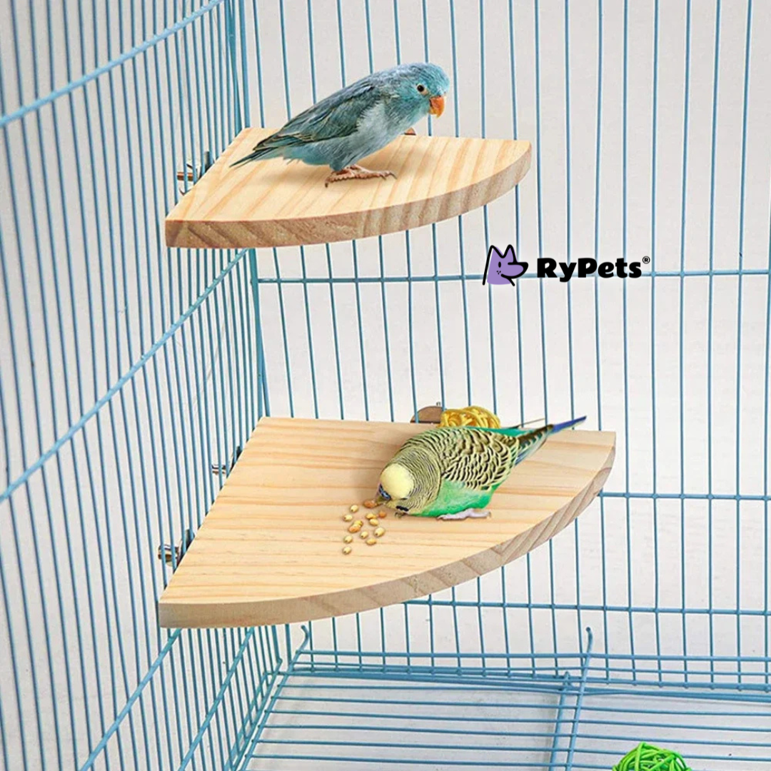 Parrot Hamster Stand Board Wood Perch