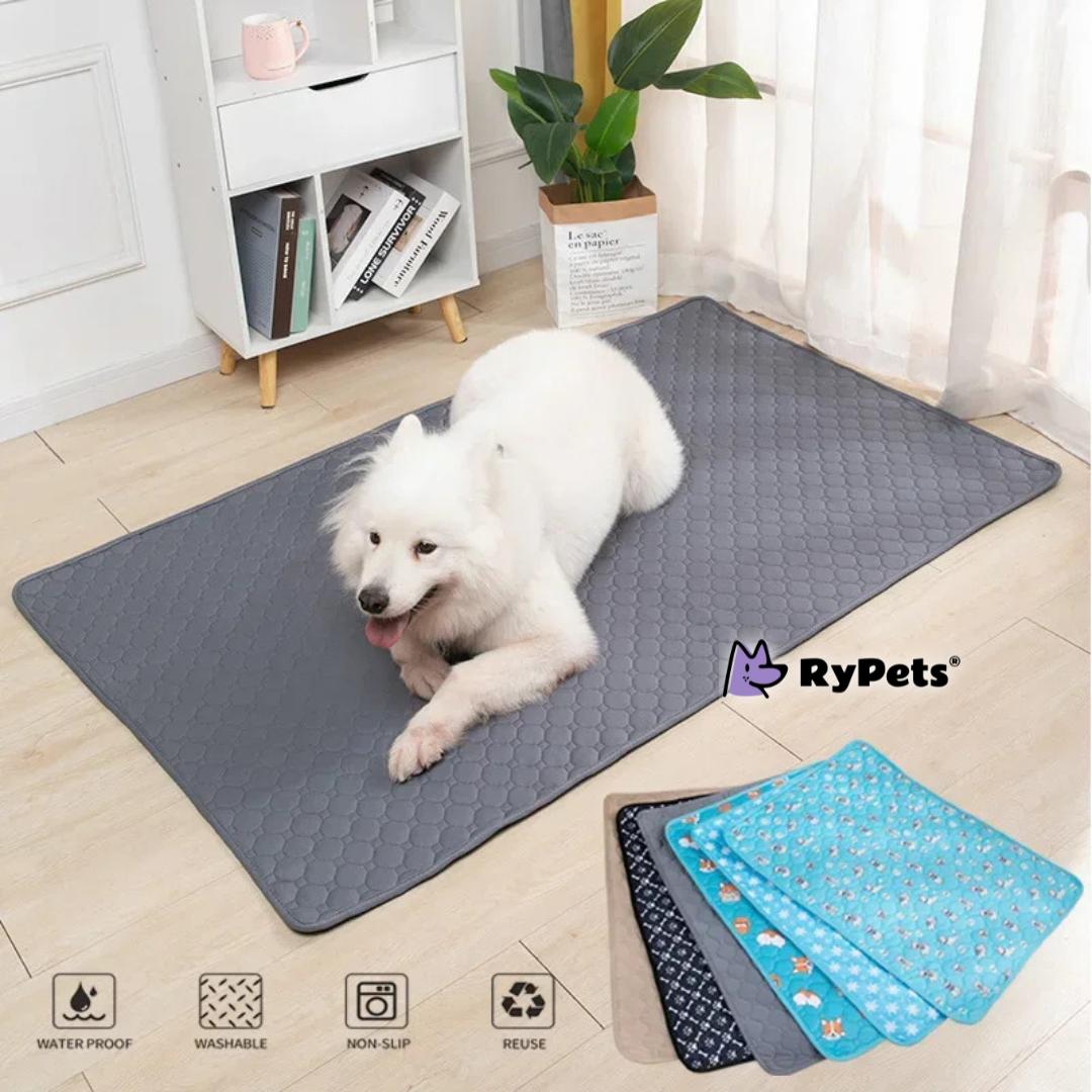 CleanPaws Washable Pet Pee Pad