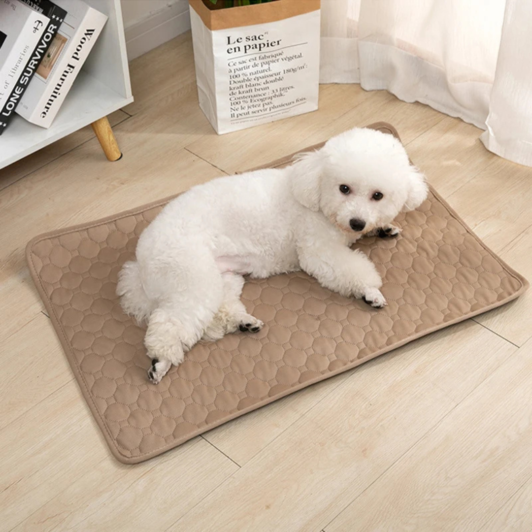 CleanPaws Washable Pet Pee Pad