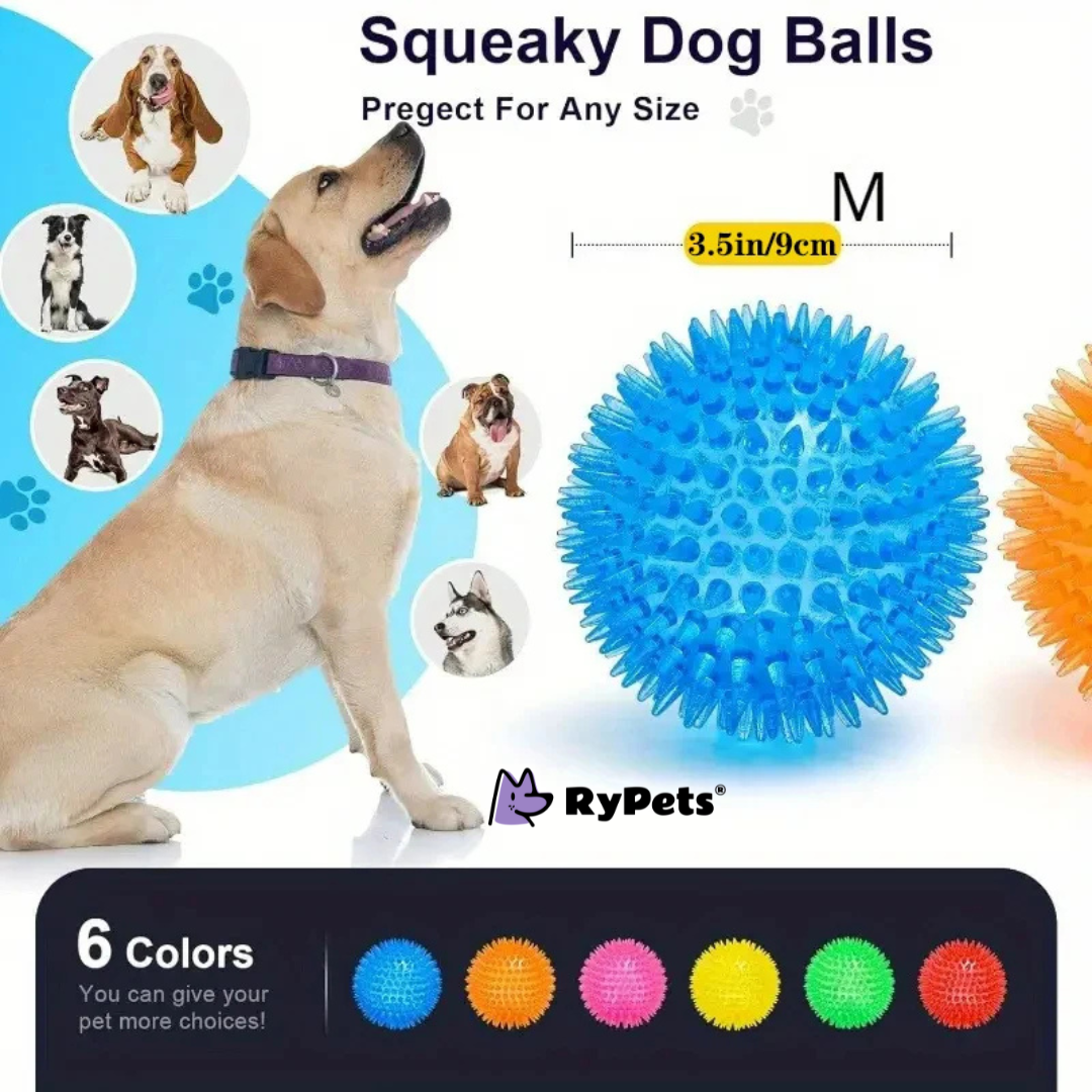 Ultimate Dog Toy Set - 6PCS Interactive Squeaky Balls