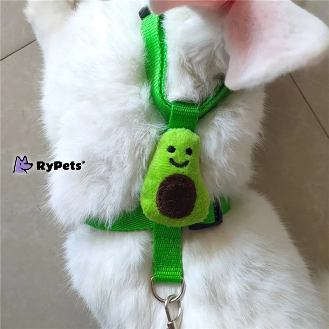 Rabbit Harness and Leash Set - Adjustable for Small Animals