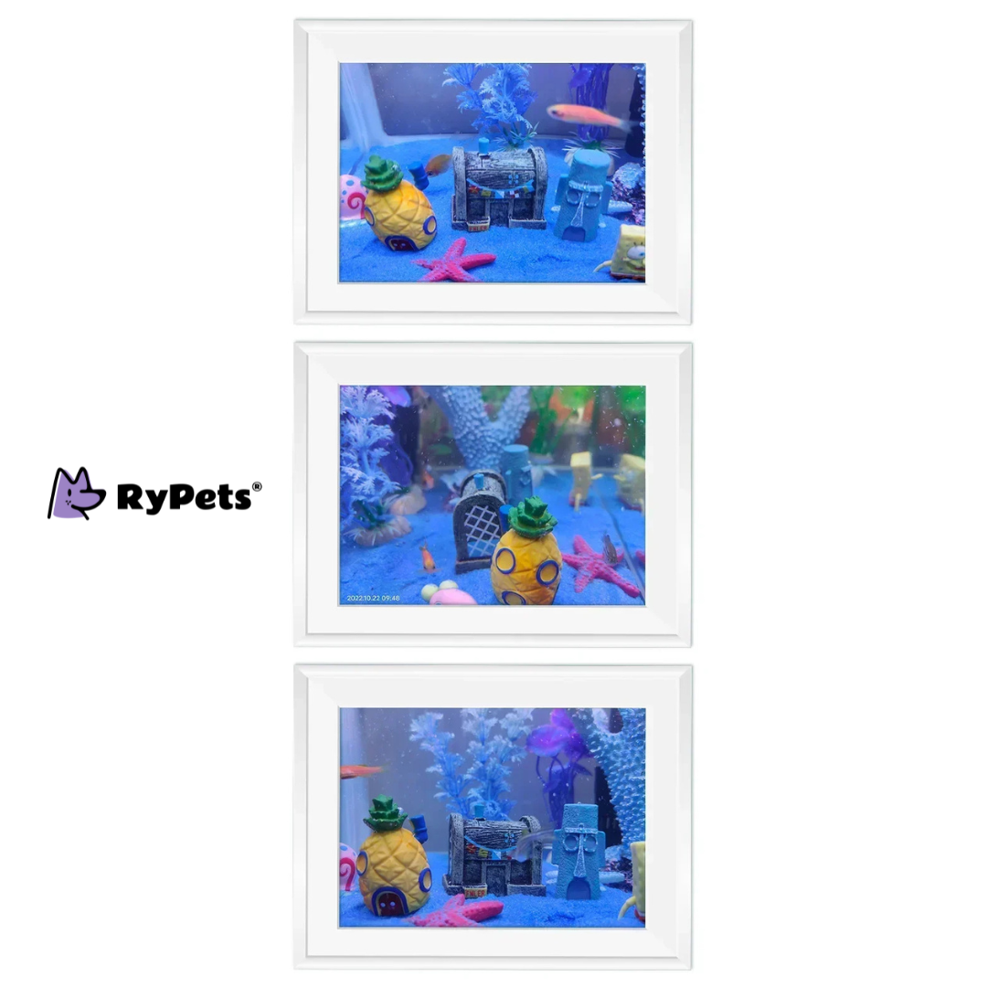 Spongebob House Cartoon Aquarium Decoration