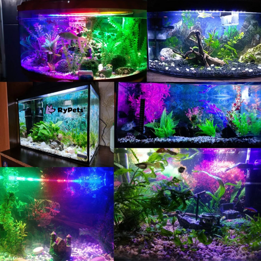 AquaGlow Pro - LED Waterproof Fish Tank Light