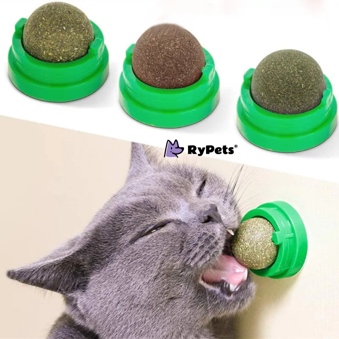 Purrfect Digestion Catnip Ball: Fun & Healthy Cat Snack