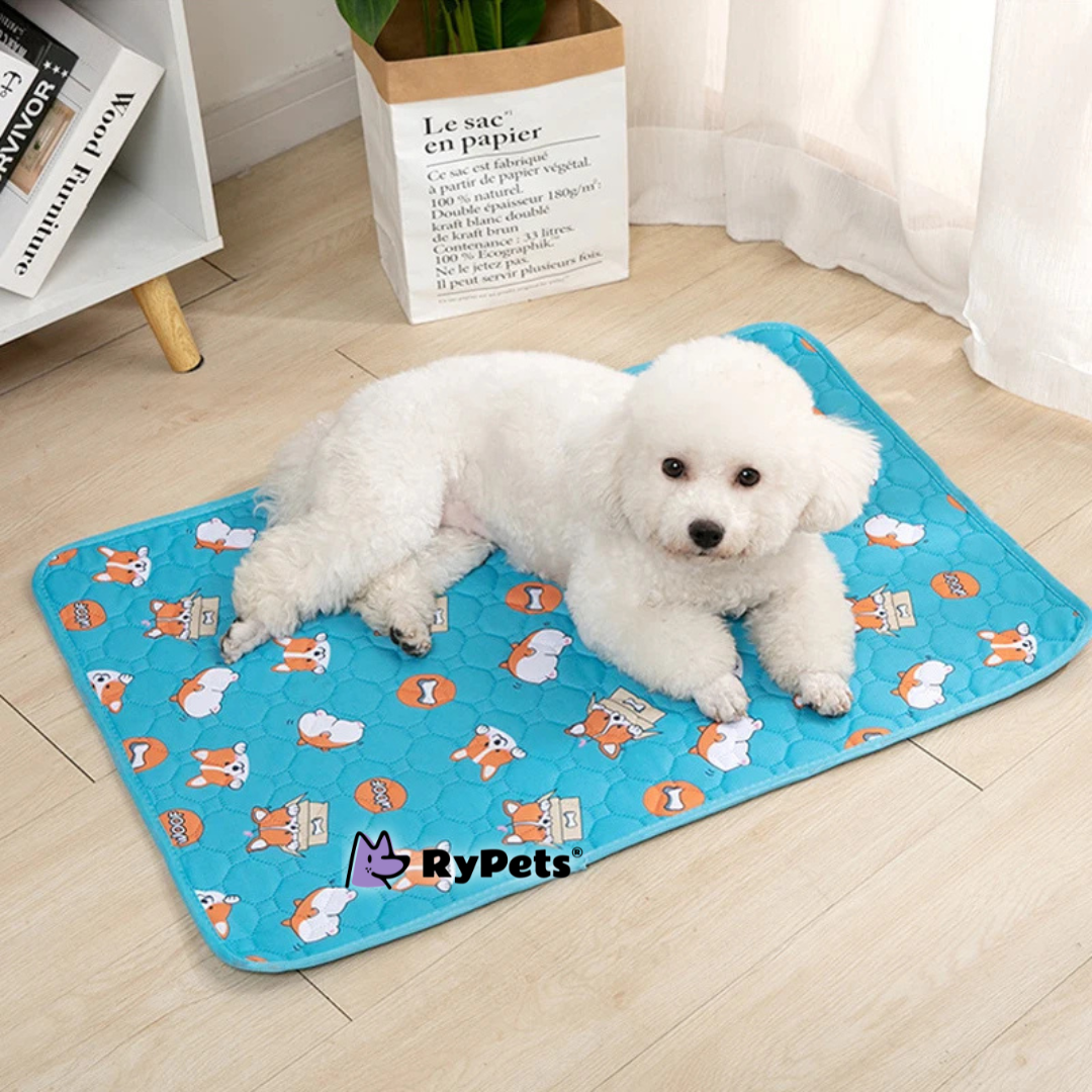 CleanPaws Washable Pet Pee Pad