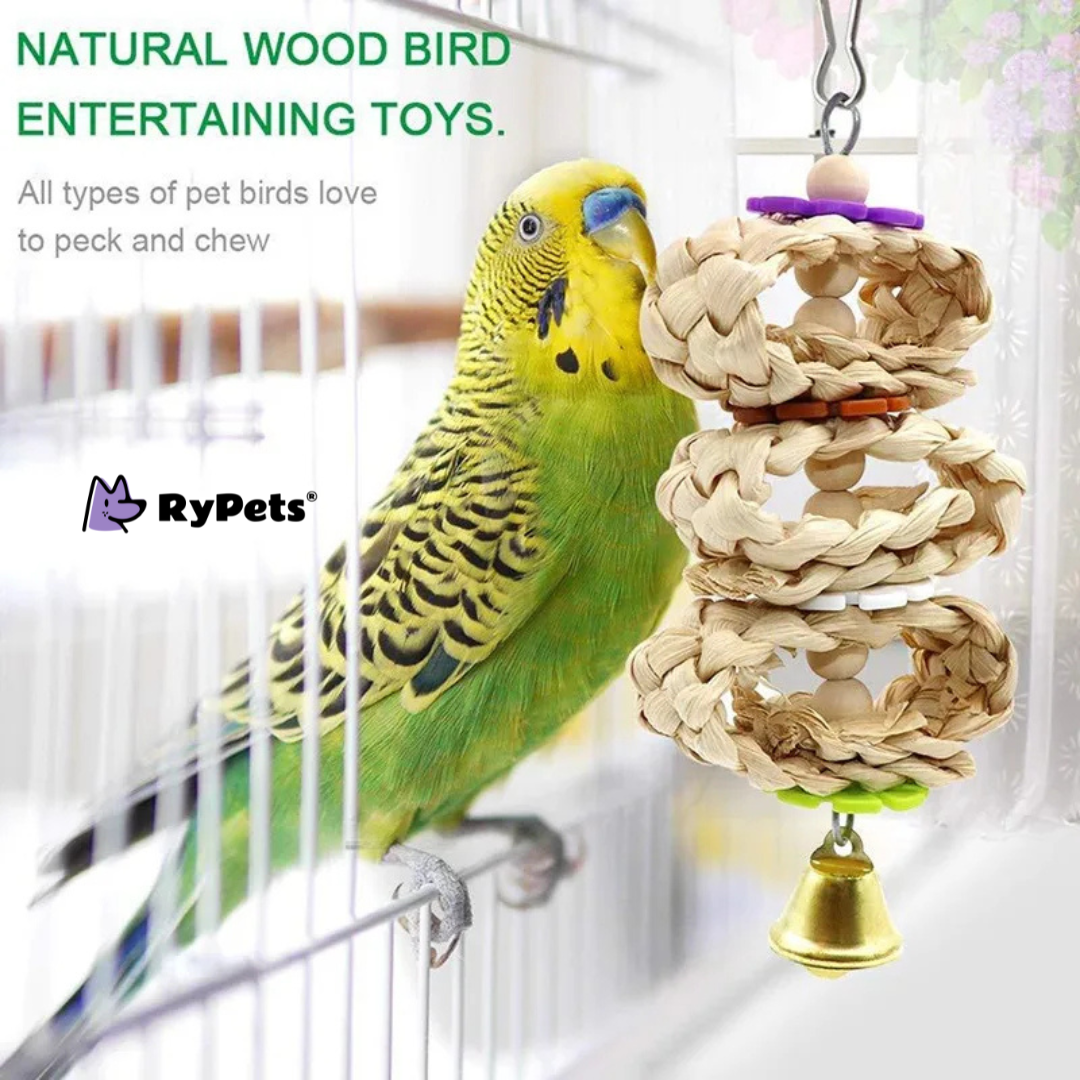 ParrotFun 8PCS Wooden Bird Toy Set for Training and Play