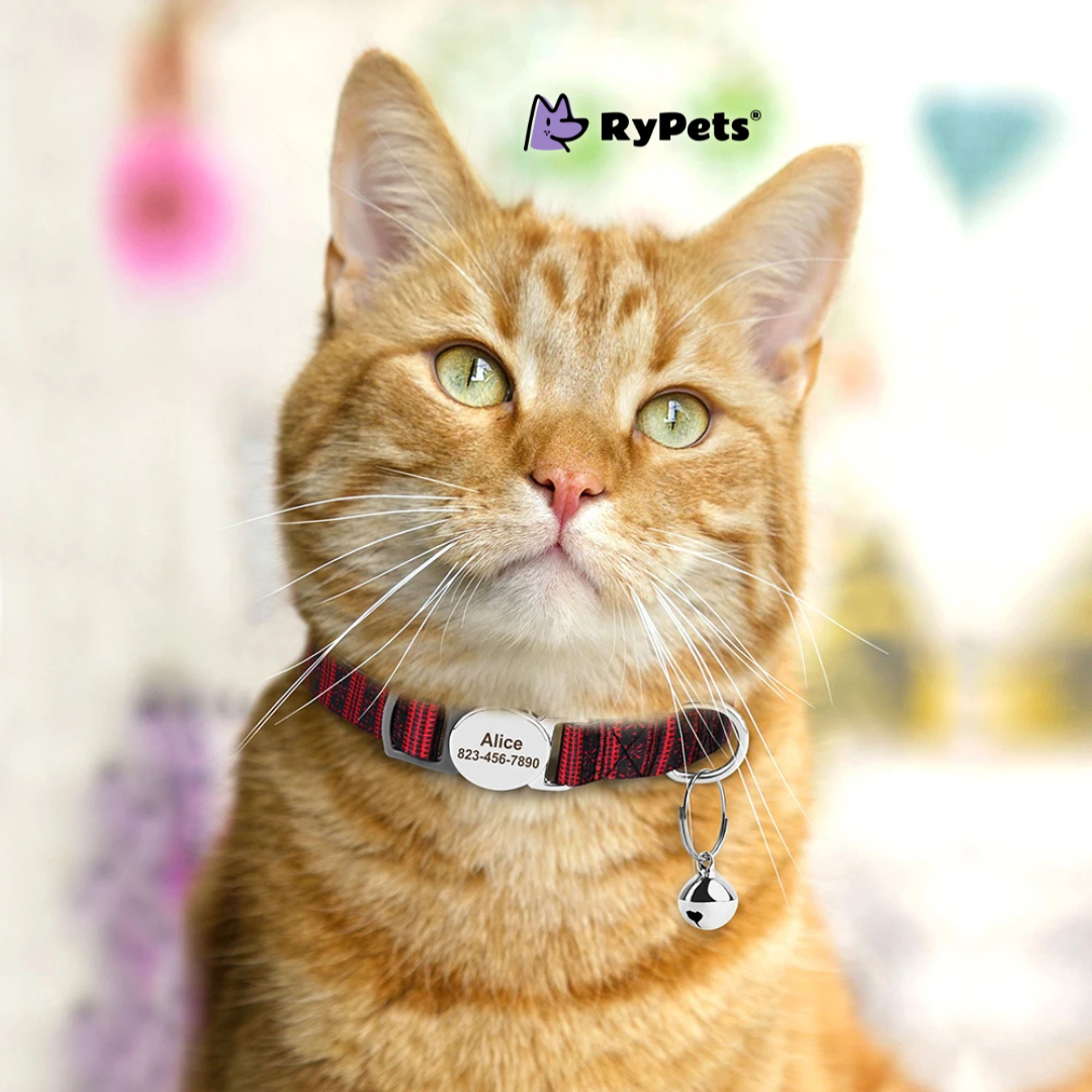 Personalized Printed Cat Collar