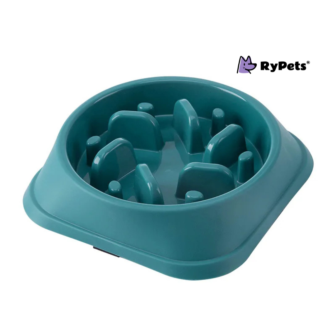 Pet Cat Dog Slow Food Bowl