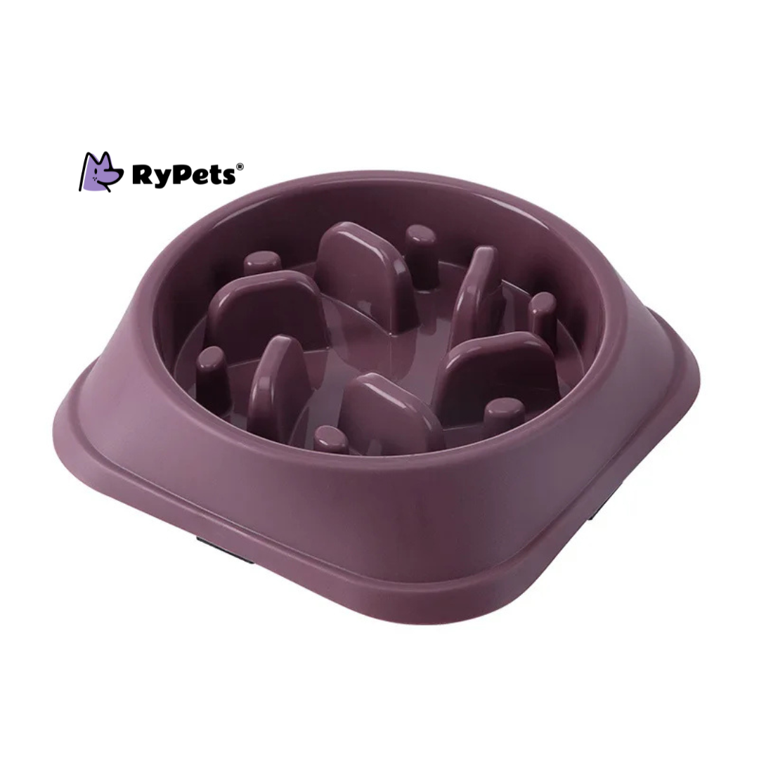 Pet Cat Dog Slow Food Bowl