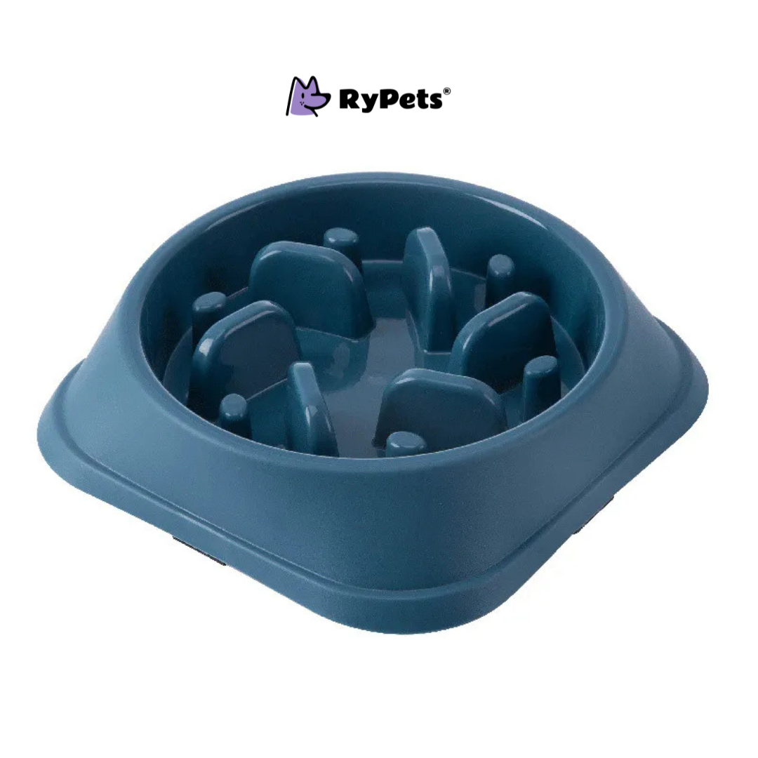 Pet Cat Dog Slow Food Bowl