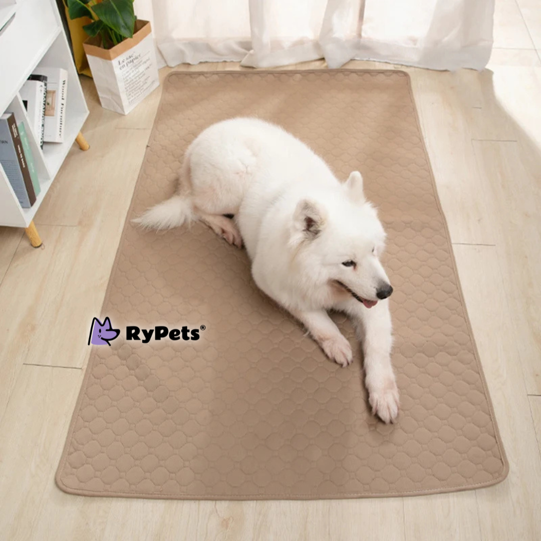 CleanPaws Washable Pet Pee Pad