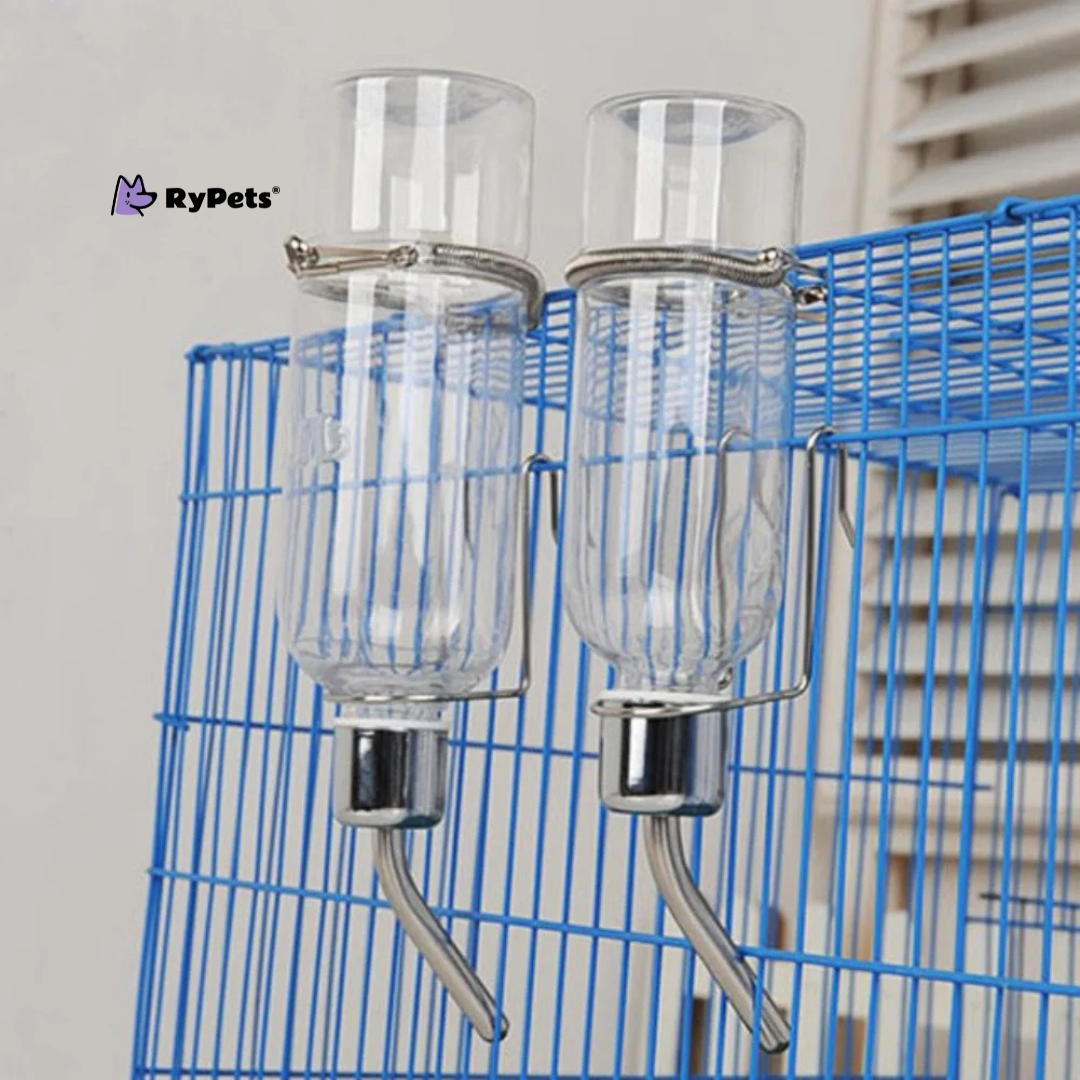 AquaCompanion Water Feeder