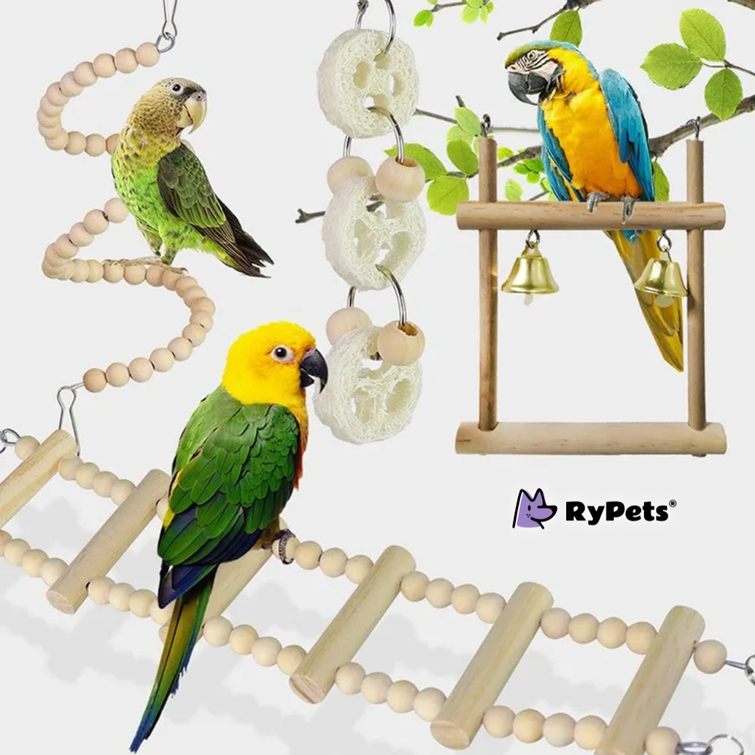 ParrotFun 8PCS Wooden Bird Toy Set for Training and Play