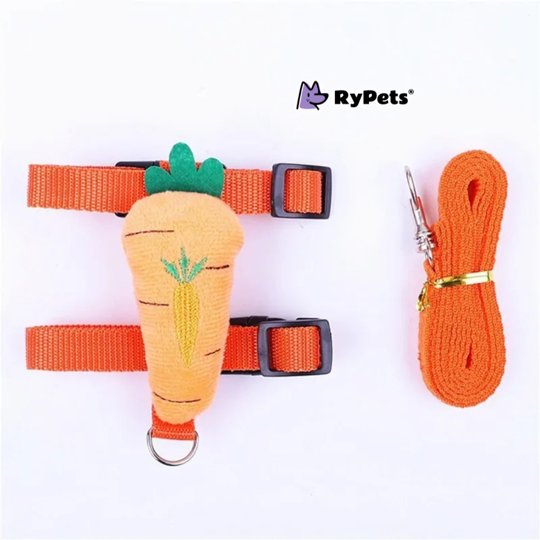 Rabbit Harness and Leash Set - Adjustable for Small Animals