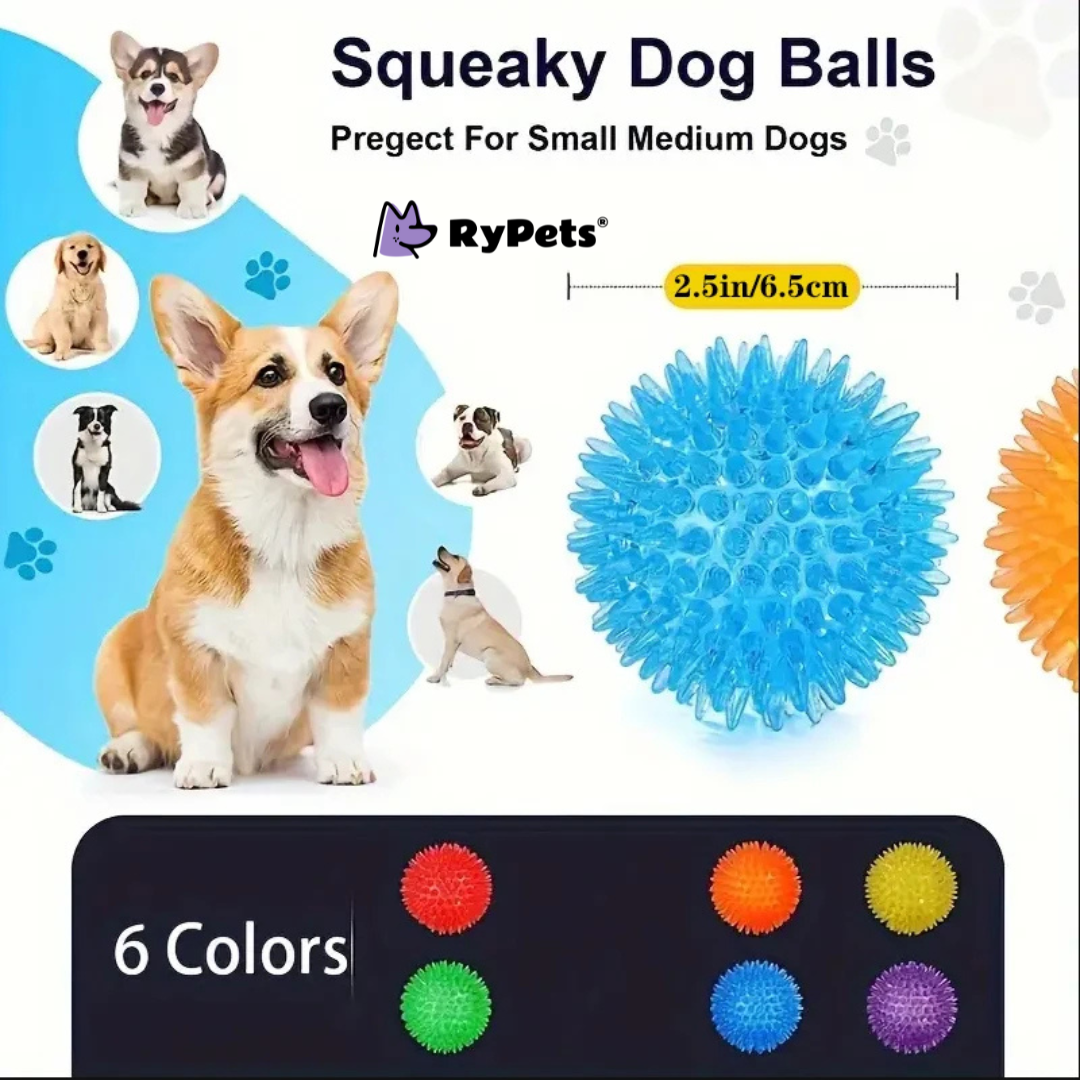 Ultimate Dog Toy Set - 6PCS Interactive Squeaky Balls