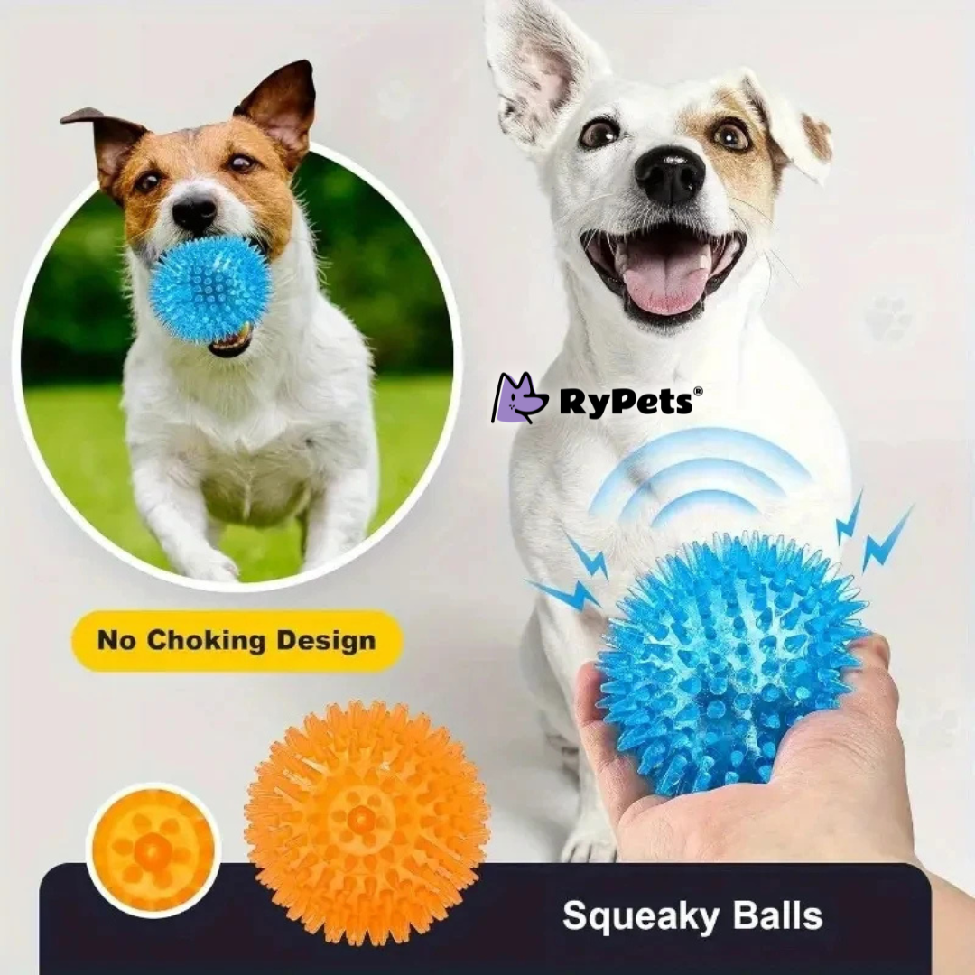 Ultimate Dog Toy Set - 6PCS Interactive Squeaky Balls