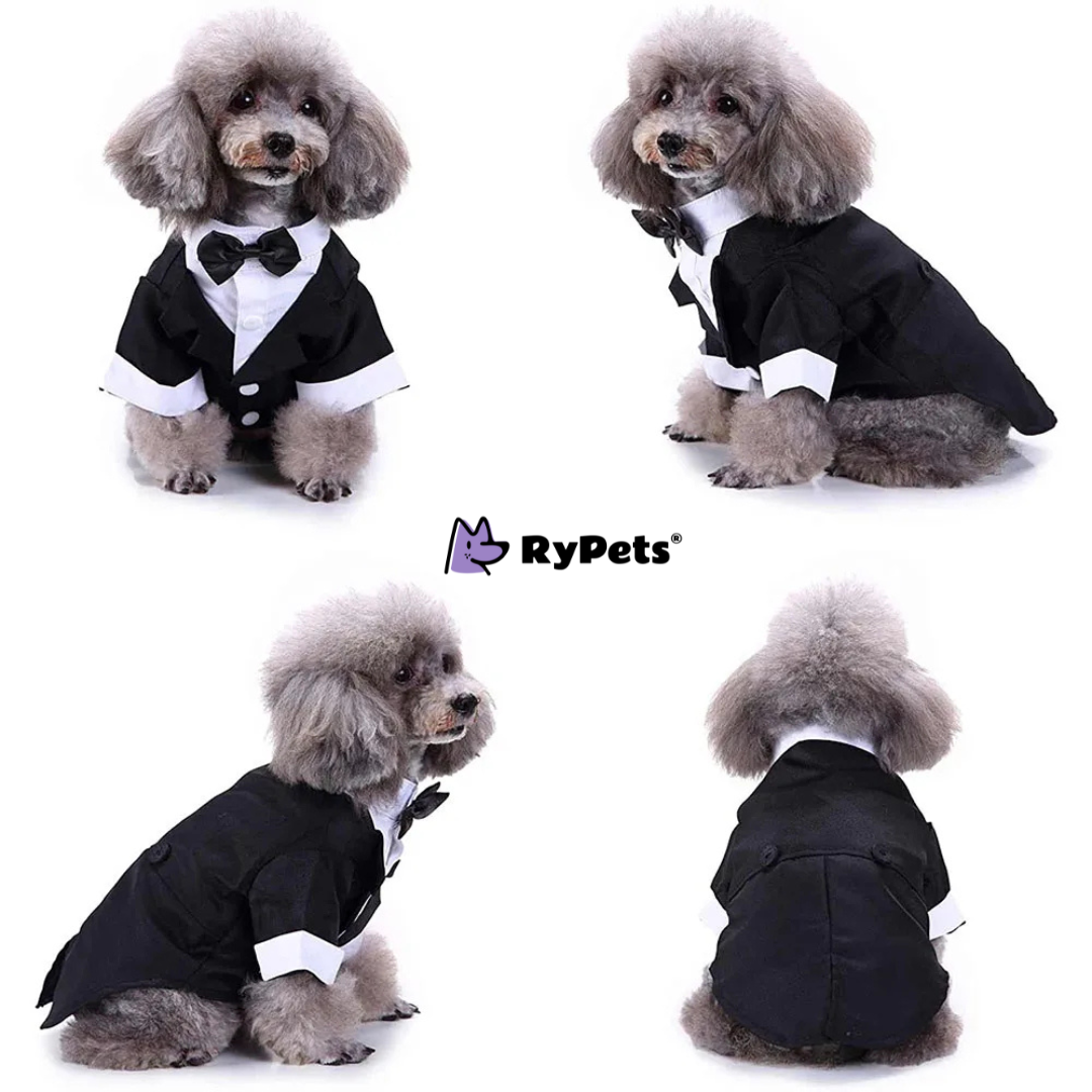 Puppy Prince Tuxedo: Wedding & Party Formal Dog Suit with Bow Tie