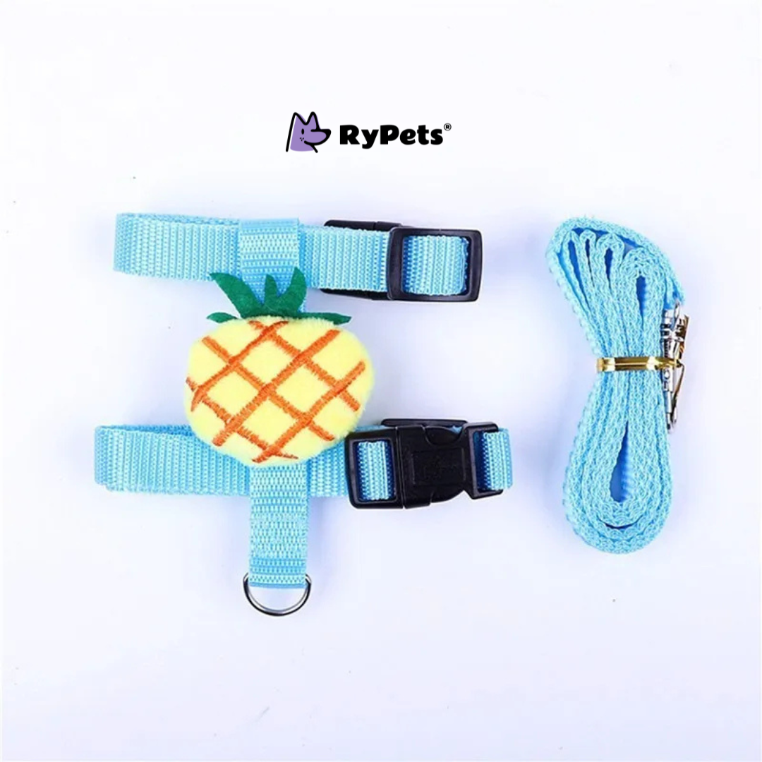 Rabbit Harness and Leash Set - Adjustable for Small Animals