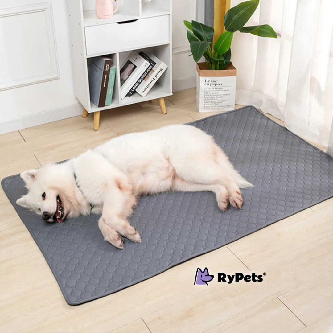 CleanPaws Washable Pet Pee Pad