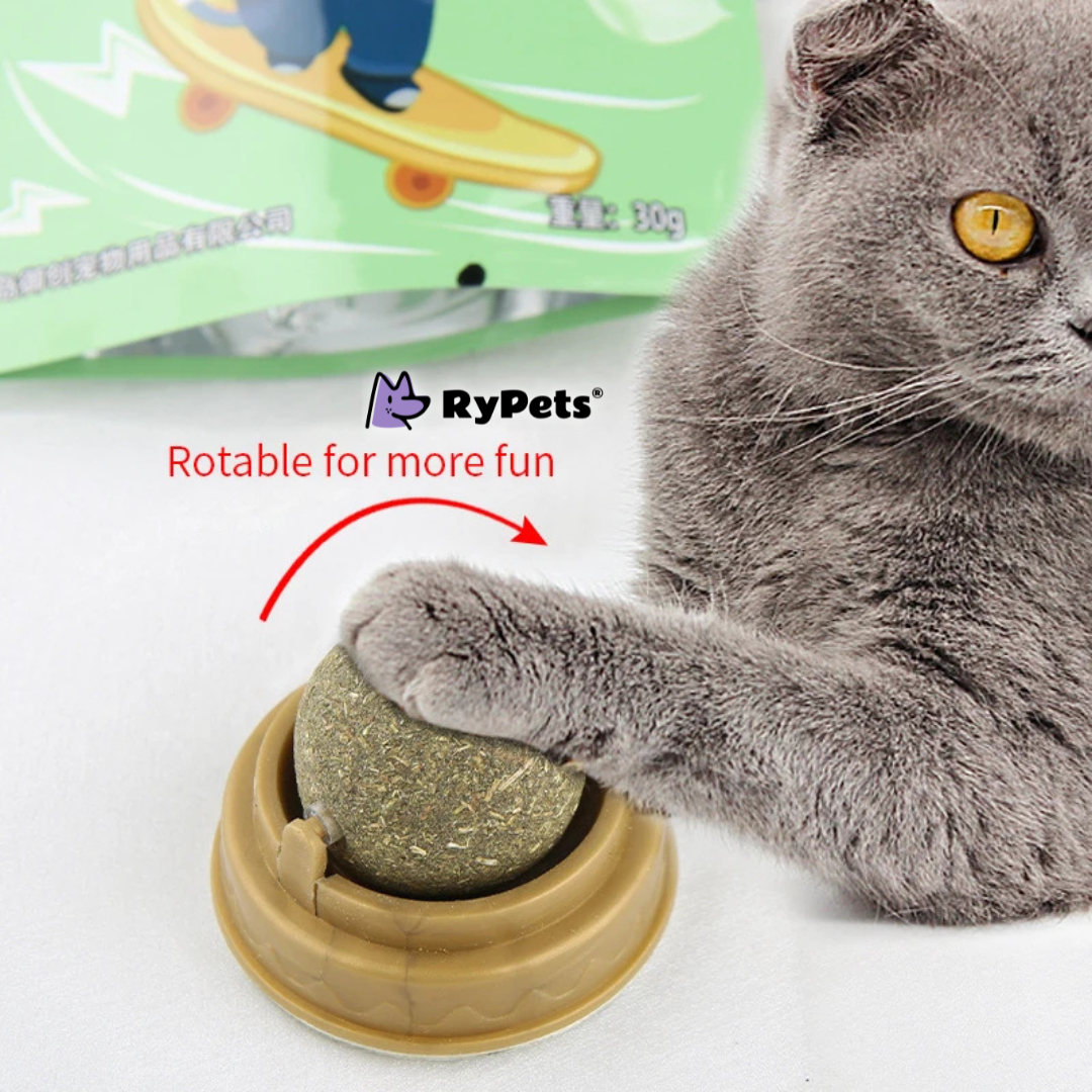 Purrfect Digestion Catnip Ball: Fun & Healthy Cat Snack