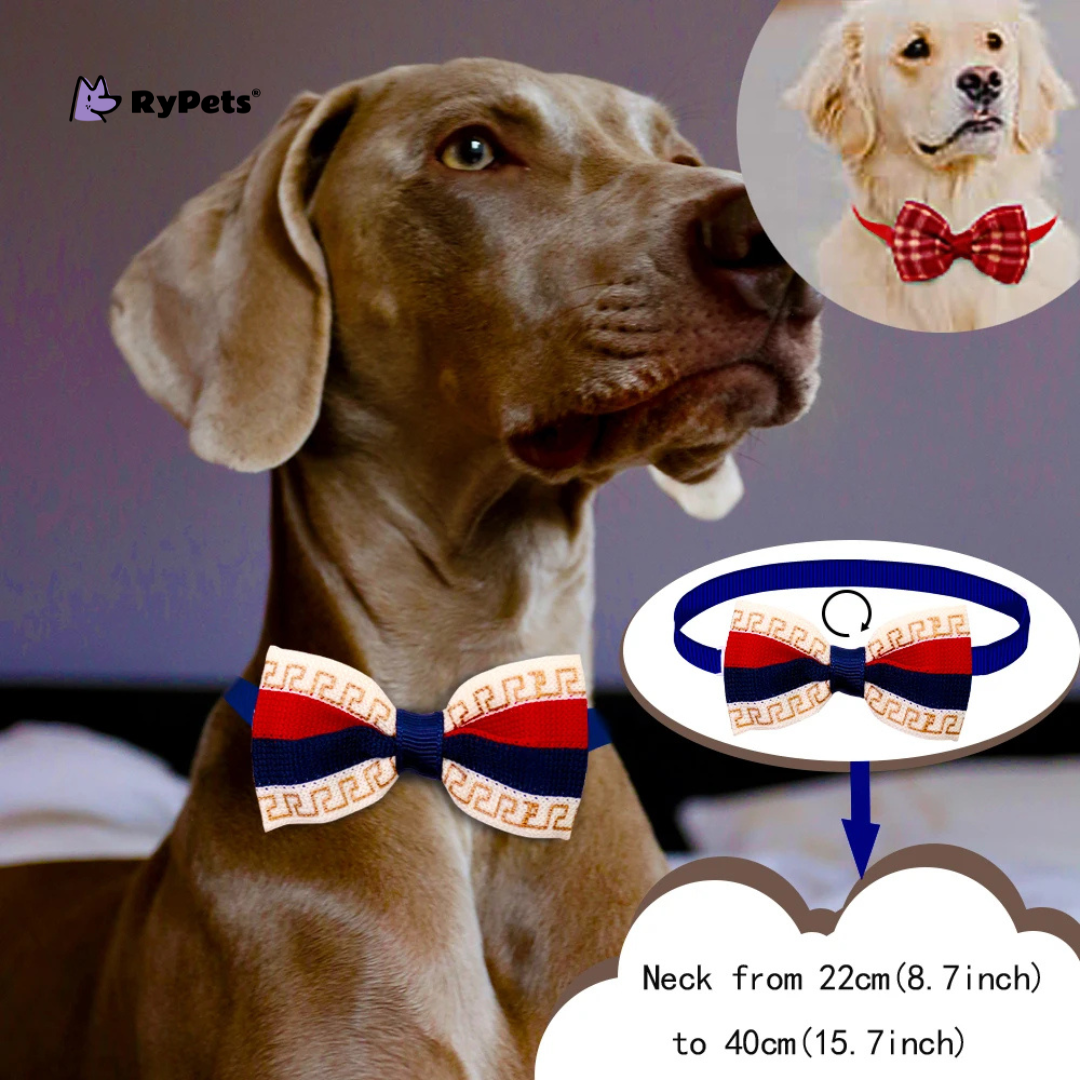 20pcs Dog Bow Tie Accessories