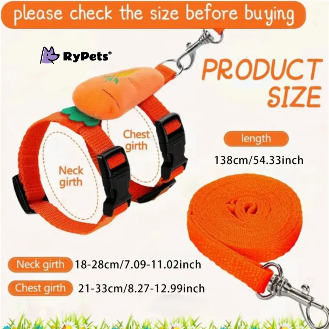 Rabbit Harness and Leash Set - Adjustable for Small Animals