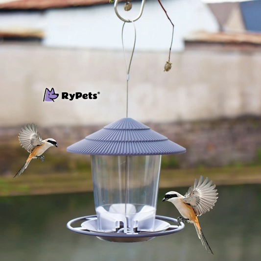 Automatic Bird Feeder with Multiple Feeding Ports