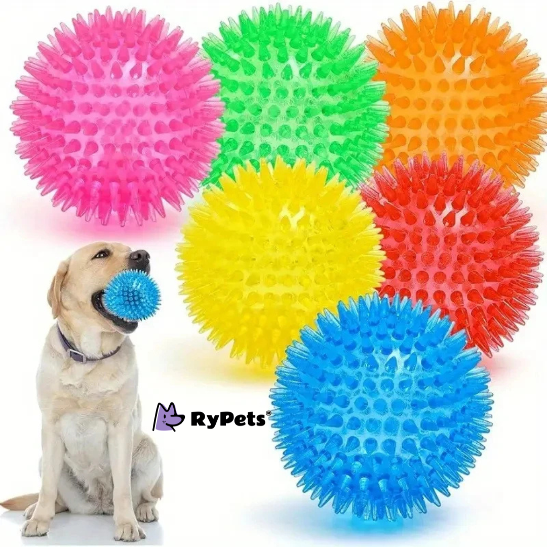 Ultimate Dog Toy Set - 6PCS Interactive Squeaky Balls