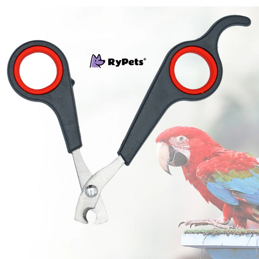 Parrot Nail Scissors Clipper