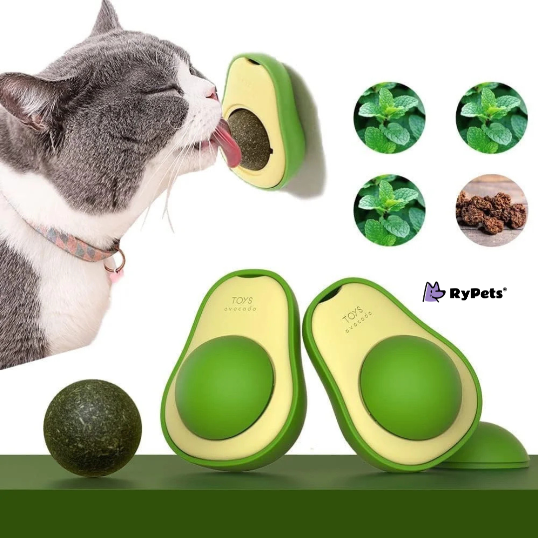 Avocado Delight Catnip Toy for Cats