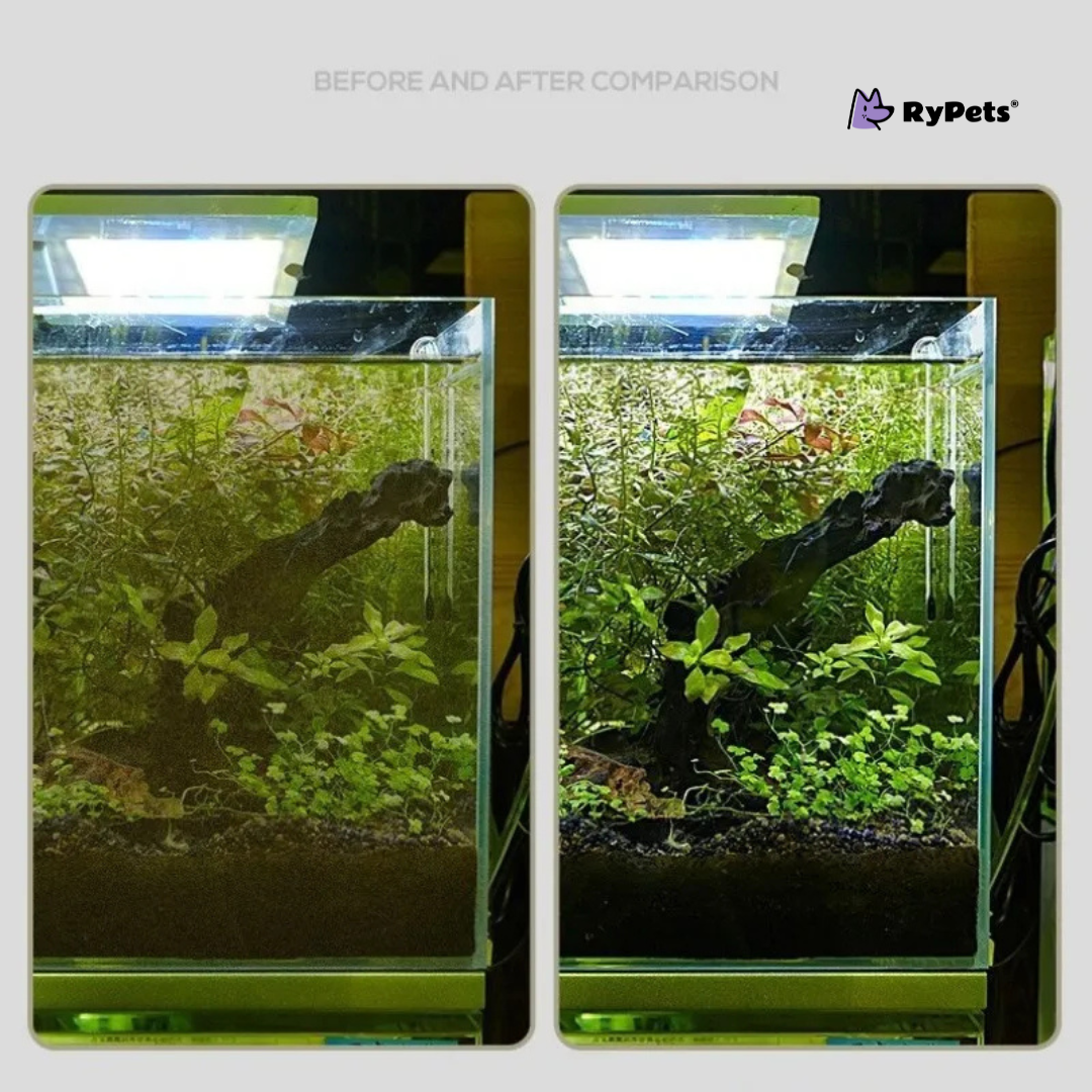 AquaClean Dual-Use Fish Tank Scraper