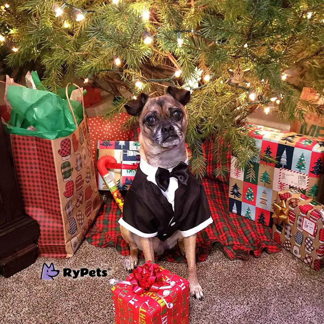 Puppy Prince Tuxedo: Wedding & Party Formal Dog Suit with Bow Tie