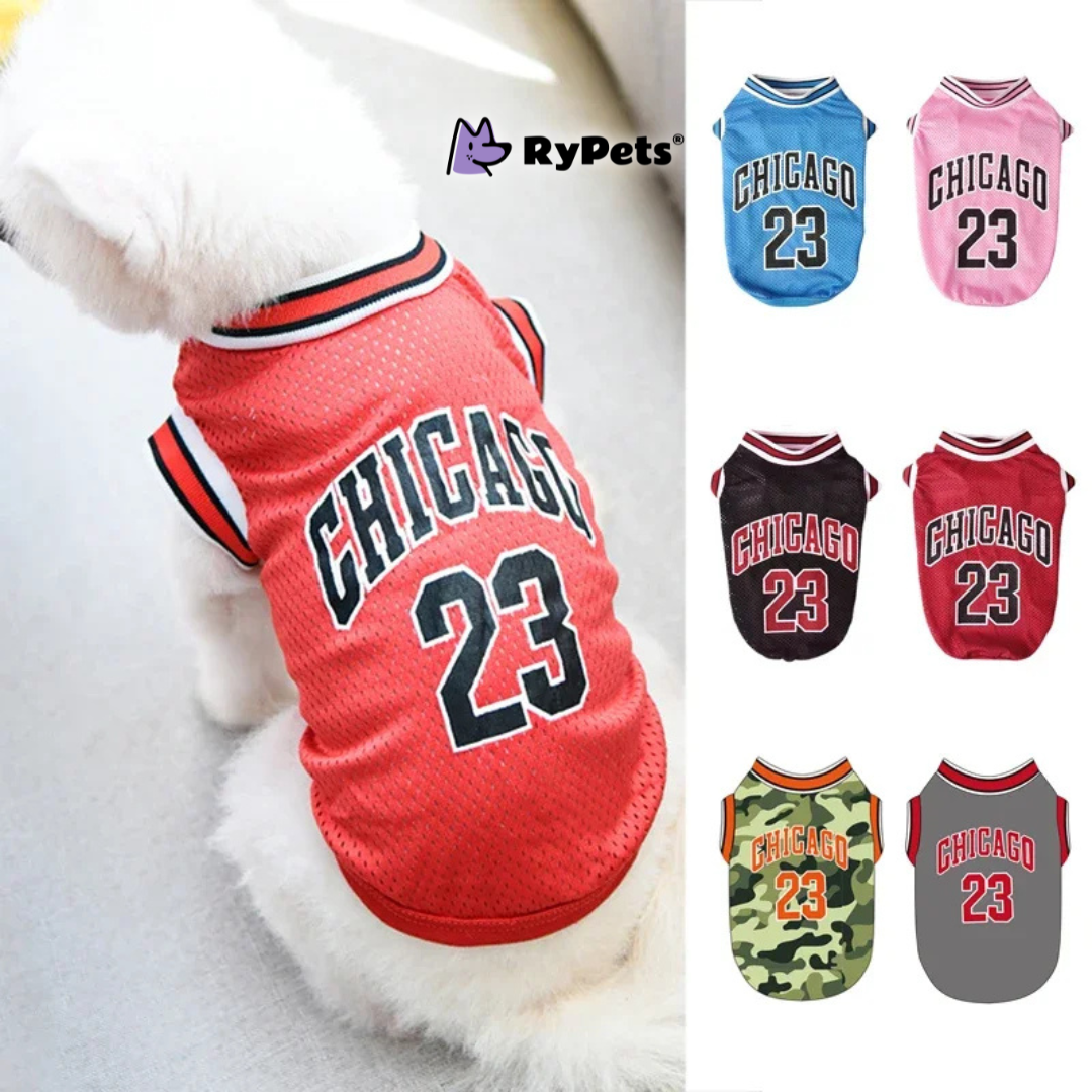 Sporty Summer Mesh Dog Jersey