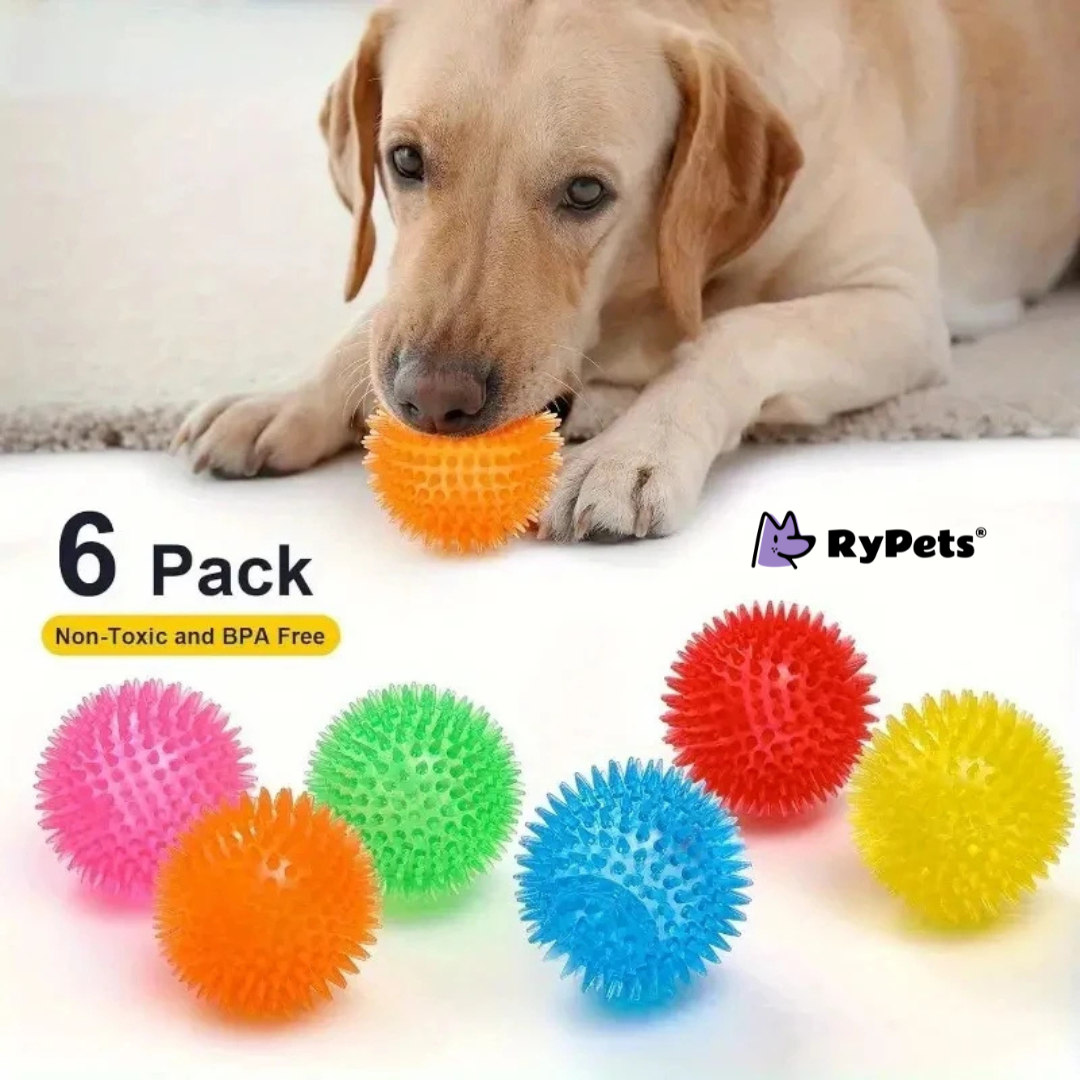 Ultimate Dog Toy Set - 6PCS Interactive Squeaky Balls