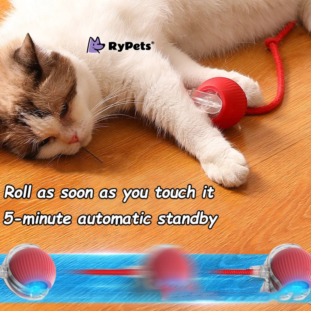 Smart Interactive Cat Ball Toy