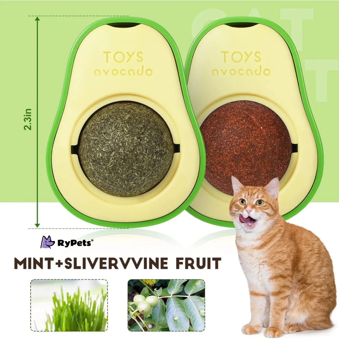 Avocado Delight Catnip Toy for Cats