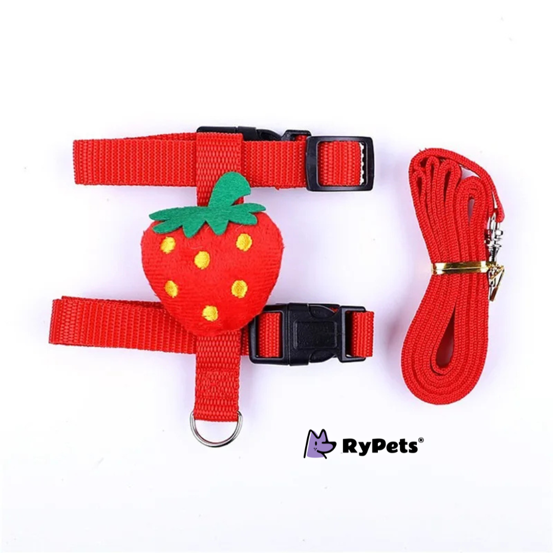 Rabbit Harness and Leash Set - Adjustable for Small Animals