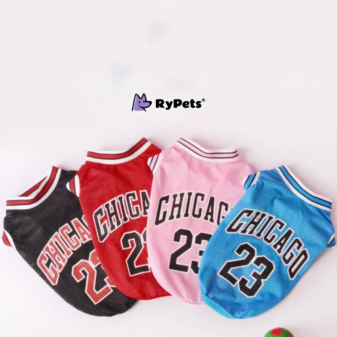 Sporty Summer Mesh Dog Jersey