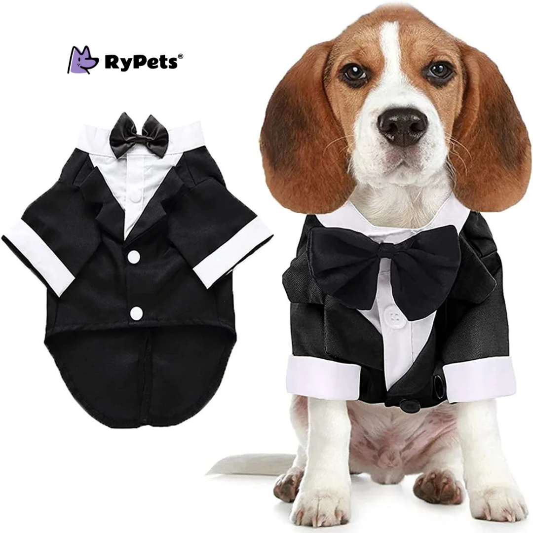 Puppy Prince Tuxedo: Wedding & Party Formal Dog Suit with Bow Tie