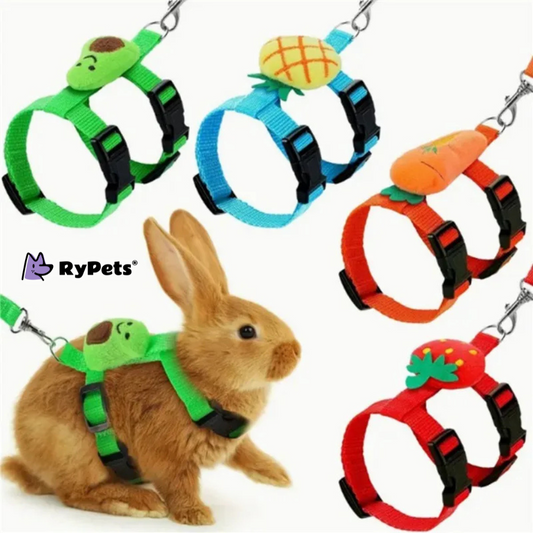 Rabbit Harness and Leash Set - Adjustable for Small Animals