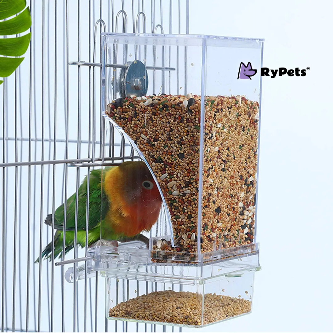 CrystalClear Parrot Feeder & Drinker