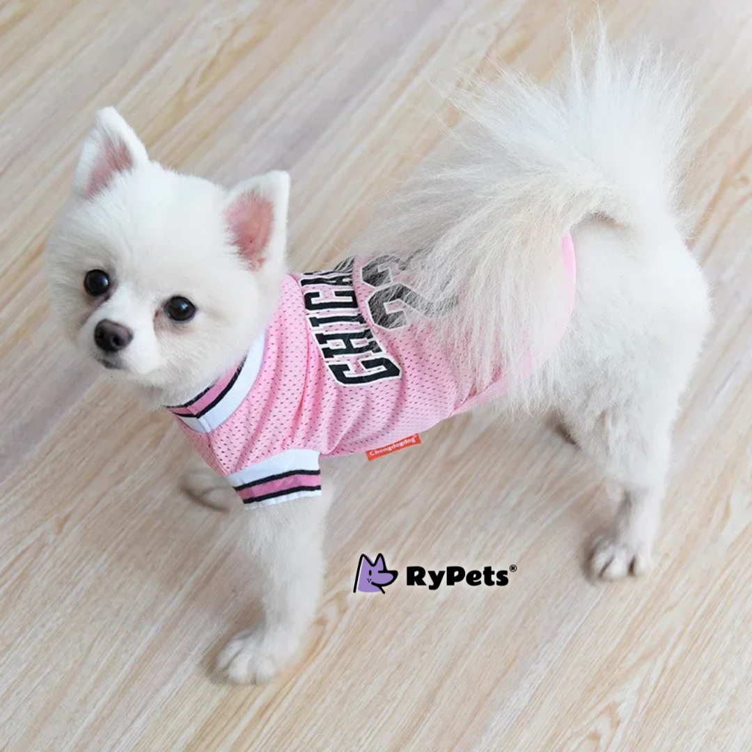 Sporty Summer Mesh Dog Jersey