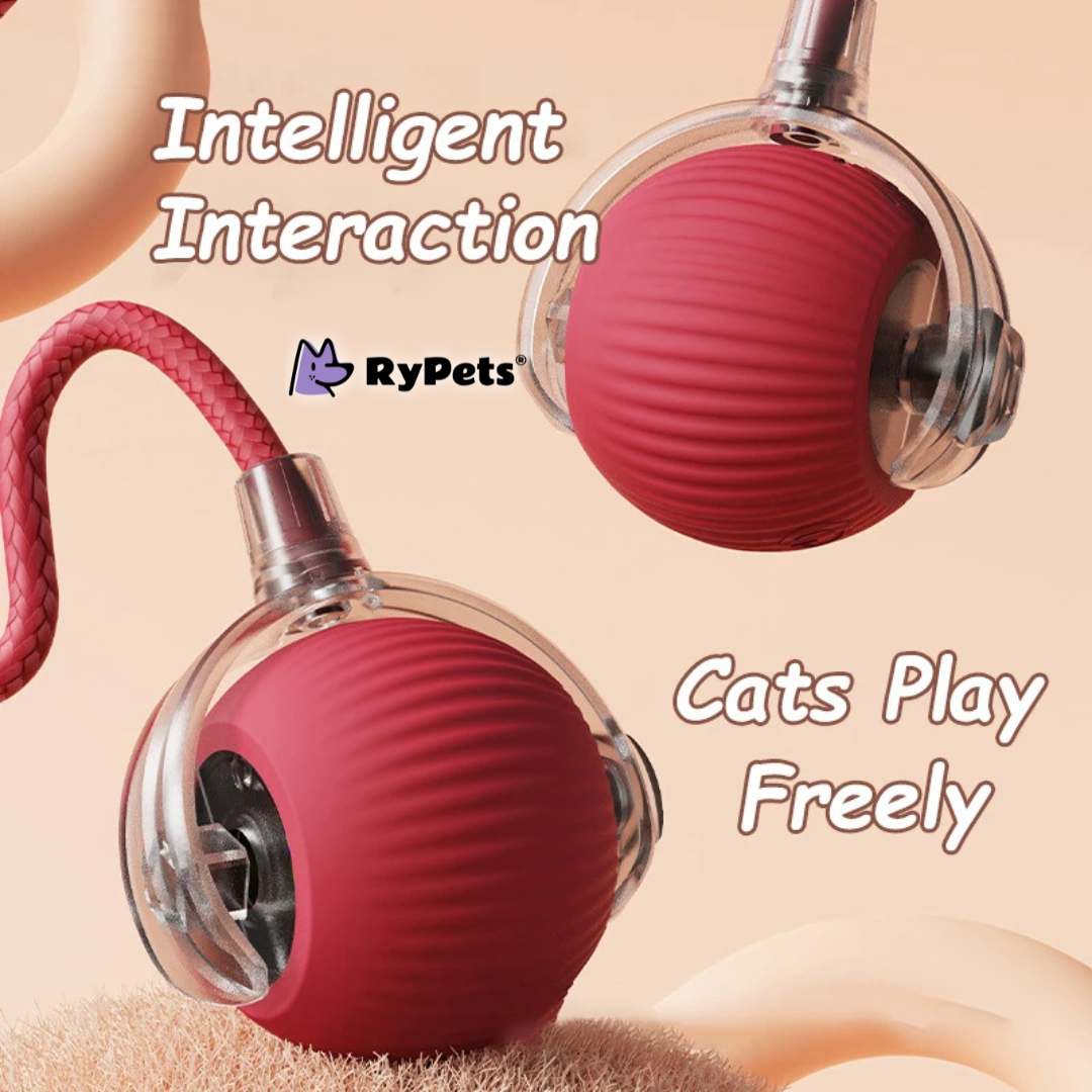 Smart Interactive Cat Ball Toy